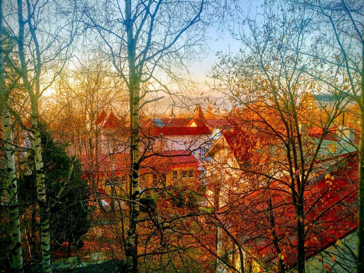 Apartment Lucy - Primo Tatry Stary Smokovec Високи Татри Екстериор снимка
